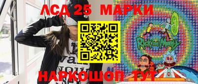 шишки Будённовск