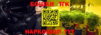 шишки Будённовск