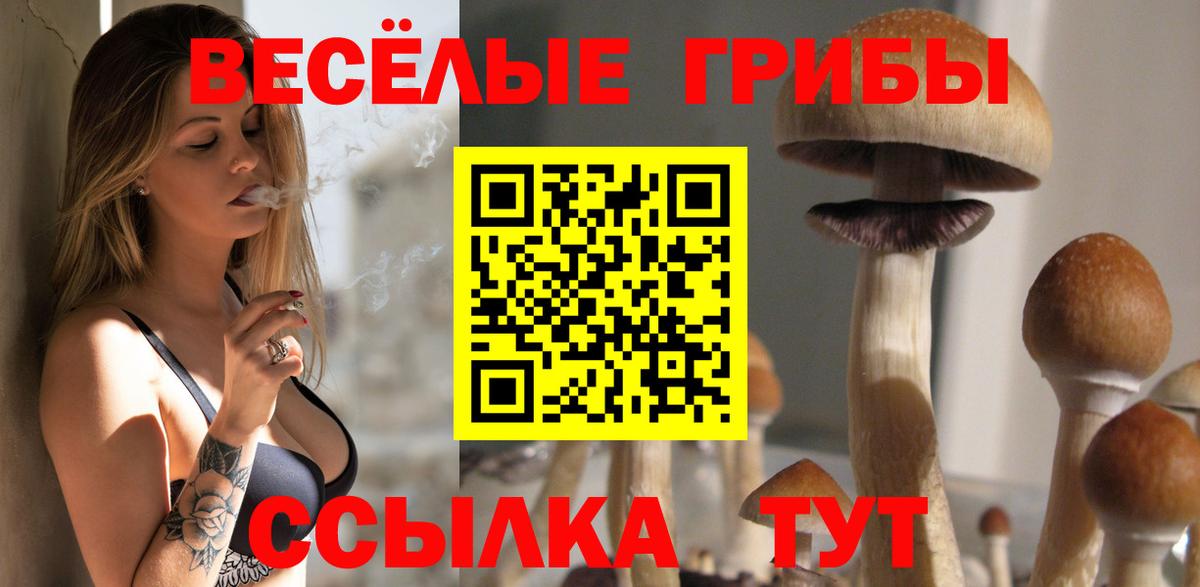 Псилоцибиновые грибы MAGIC MUSHROOMS Кудымкар